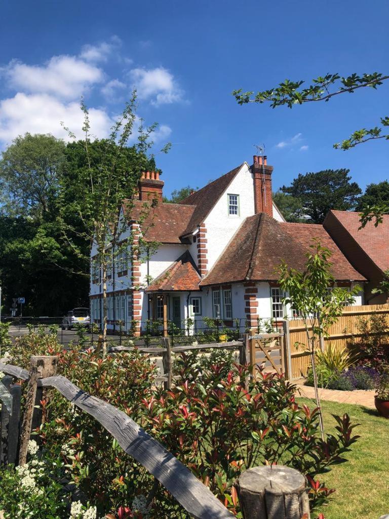 The Bulls Head Inn Ewhurst Extérieur photo